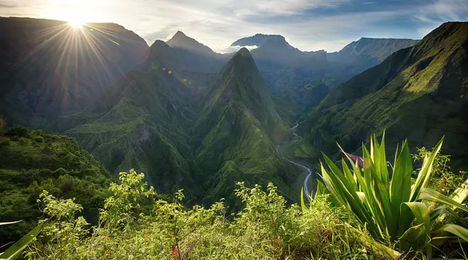 Estimation immobilière La Réunion